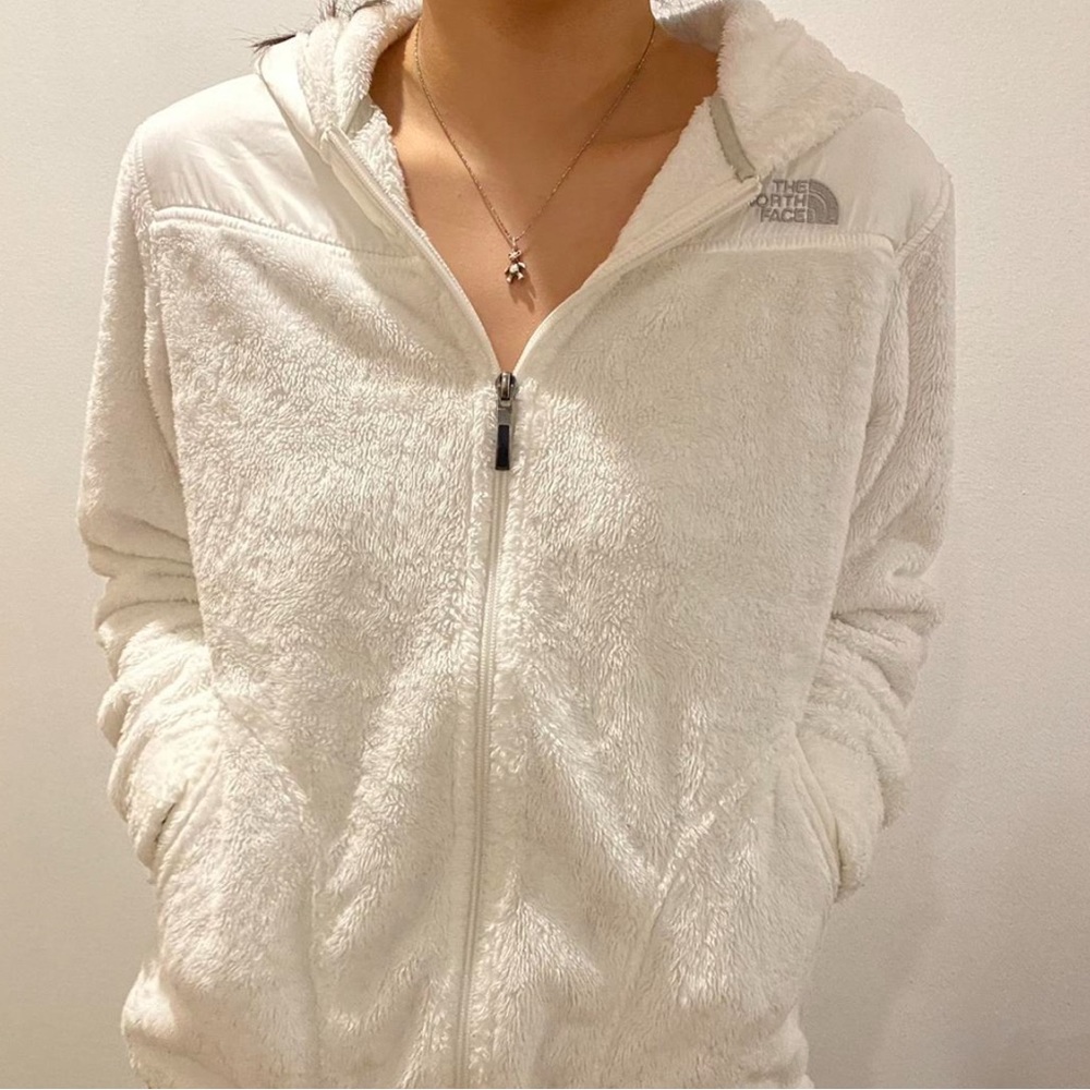 North face jacket